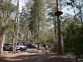 0104-1617 Treetop park (1070452)